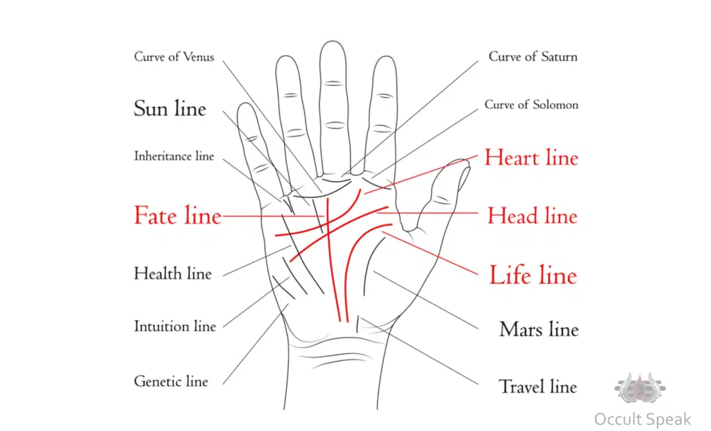 Palmistry